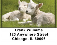 Lambs Address Labels | LBZANJ-67