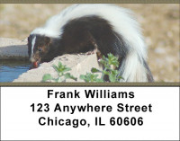 Skunk Address Labels | LBZANJ-68