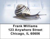 Slow Computer Address Labels | LBZANJ-69