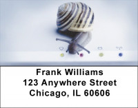 Slow Computer Address Labels | LBZANJ-69