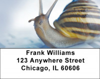 Slow Computer Address Labels | LBZANJ-69