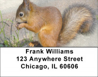 Doing What I Do Best Address Labels | LBZANJ-72