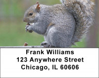 Squirrel Time Address Labels | LBZANJ-74