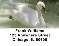 Beauty and Grace Address Labels | LBZANJ-75