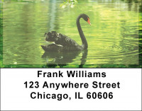 Black Swan Address Labels | LBZANJ-76