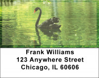 Black Swan Address Labels | LBZANJ-76