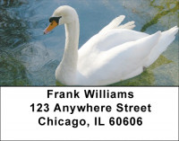 Swan Splendor Address Labels | LBZANJ-79