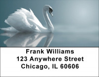 Swan Splendor Address Labels | LBZANJ-79