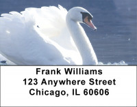 Swan Splendor Address Labels | LBZANJ-79