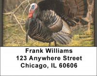 Tom The Turkey Address Labels | LBZANJ-81