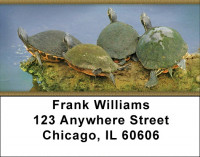 Box Turtles Address Labels | LBZANJ-83