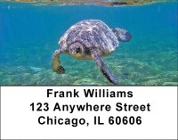 Swimming Sea Turtles Address Labels | LBZANJ-85