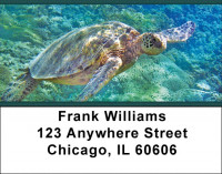 Sea Turtles Address Labels | LBZANJ-86