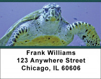 Sea Turtles Address Labels | LBZANJ-86