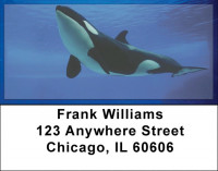 Whales Address Labels | LBZANJ-87