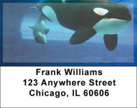 Whales Address Labels | LBZANJ-87