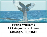 Whale Of A Tail Address Labels | LBZANJ-88