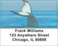 Whale Of A Tail Address Labels | LBZANJ-88