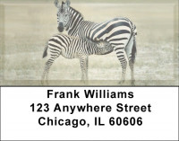 Zebra & Babies Address Labels | LBZANJ-90