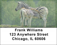 Zebra & Babies Address Labels | LBZANJ-90