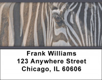 Zebra Eye To Eye Address Labels | LBZANJ-91