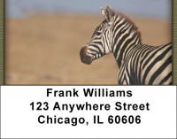 Zebra In Wild Address Labels | LBZANJ-92