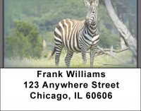 Zebra Safari Address Labels | LBZANJ-94