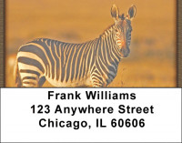 Zebras At Sunset Address Labels | LBZANJ-95