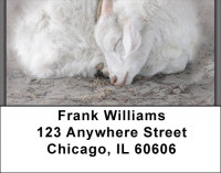 Sleeping Animals Address Labels | LBZANJ-96