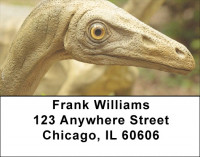 Dino Walk In The Park Address Labels | LBZANJ-98