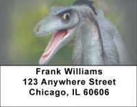 Dinosaurs Roaming Forests & Lakes Address Labels | LBZANK-02