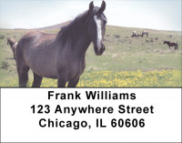 Spanish Mustang Address Labels | LBZANK-05