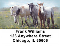 Spanish Mustang Address Labels | LBZANK-05