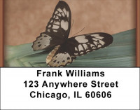 Terracotta Butterfly Address Labels | LBZANK-08