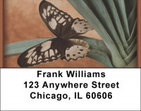 Terracotta Butterfly Address Labels | LBZANK-08