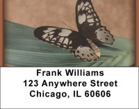 Terracotta Butterfly Address Labels | LBZANK-08
