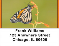 Butterfly Perspective  Address Labels | LBZANK-09