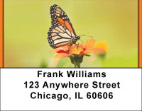Butterfly Perspective  Address Labels | LBZANK-09