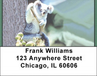Koala Bears Address Labels | LBZANK-14