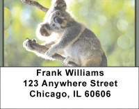 Koala Bears Address Labels | LBZANK-14
