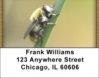 Busy Bees Address Labels | LBZANK-16