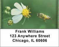 Busy Bees Address Labels | LBZANK-16