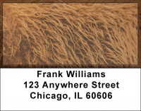 Buffalo Hides Address Labels | LBZANK-21