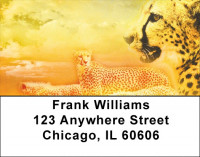 Cheetahs Address Labels | LBZANK-27