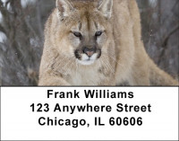 Cougar Address Labels | LBZANK-28