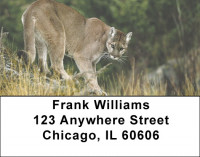 Cougar Address Labels | LBZANK-28