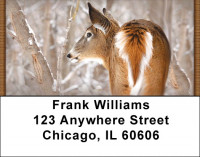 Whitetail Deer Address Labels | LBZANK-30