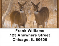 Whitetail Deer Address Labels | LBZANK-30