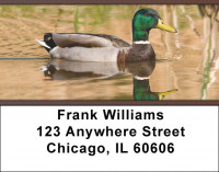 Ducks In Morning Light Address Labels | LBZANK-32