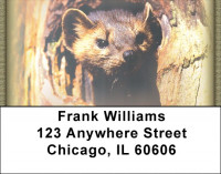 Ferrets Address Labels | LBZANK-34